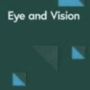 Eye and Vision